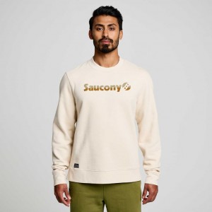 Pánské Mikina Saucony Recovery Crew Krém | CZ-EWQCT